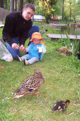 vorm Angriff sind die echt süß 1