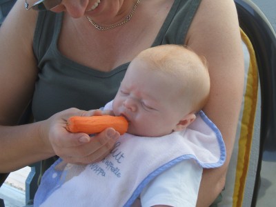 Lecker Möhrchen kann ich auch schon essen