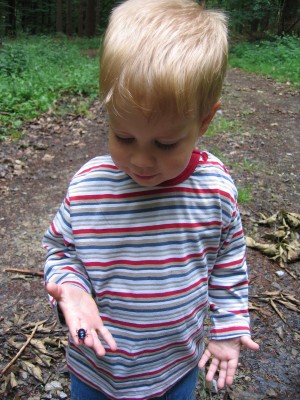 Oh ein &amp;quot;Täfer&amp;quot;