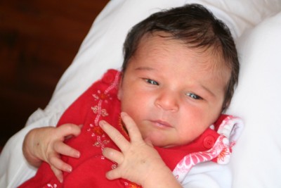 Kopie von IMG_1519.jpg