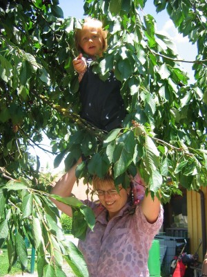 Zwei Damen beim Kirschenklau