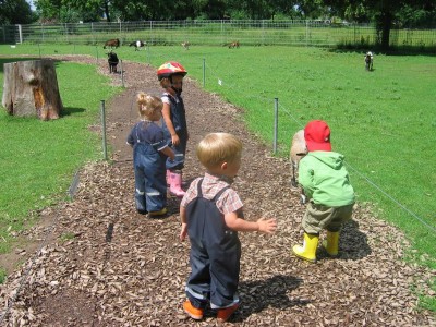 Auf die Ziegen, fertig! Los!