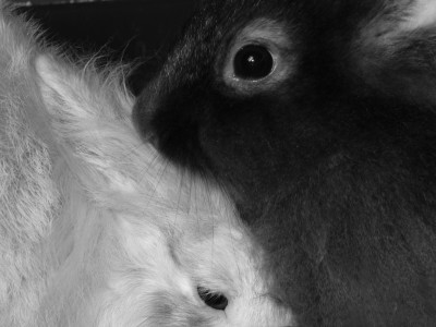 Wir haben uns so lieb!