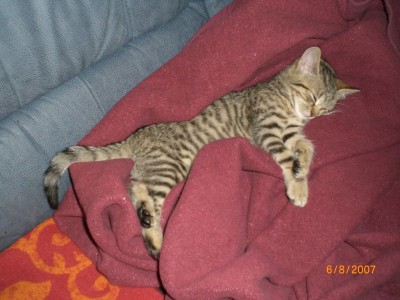 k-Bilder ab August 2007 050.jpg