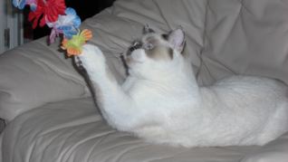 Hey, meins !-19.08.07.jpg