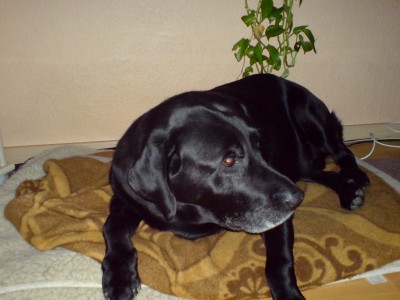 Bild 002.jpg