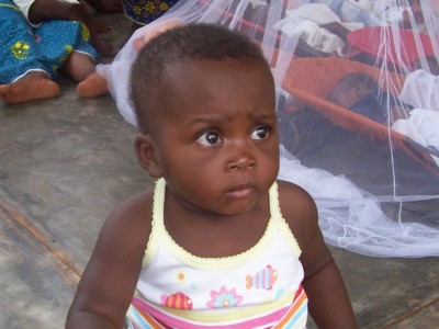 Reine mit den großen Augen.jpg