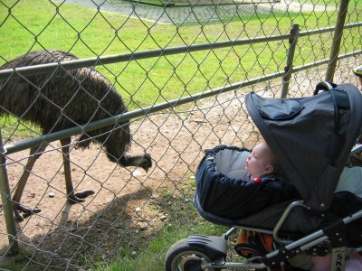 &amp;quot;Sehr interessant!&amp;quot; Mia
