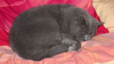 Unsere Knutschkugel.jpg