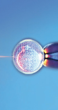 ICSI Bild 10.jpg