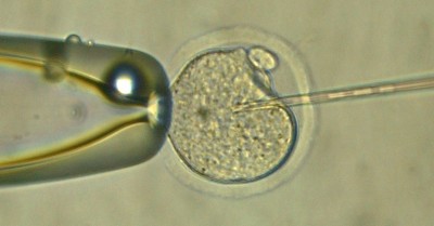 ICSI Bild 7.jpg