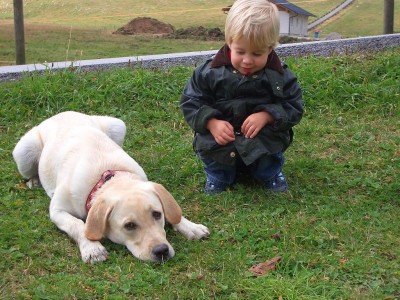 linus cajuna und die Kröte