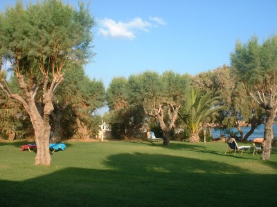 Blick von Terasse in den Garten