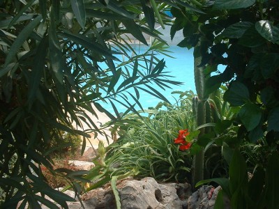 im Hintergrund der Pool