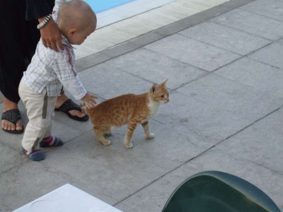 schnell hinterher2.jpg