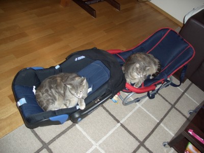 Mia im Maxi Cosi und Zita in der Wippe