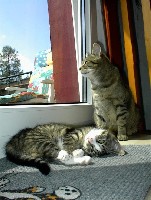 03.08.2002 - Gismo und Krümelchen 8.jpg