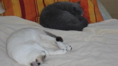 Lilly kuschelt mi Eliot.jpg