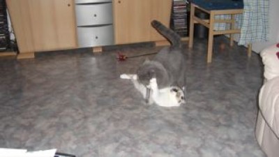 Lilly und Eliot beim Spielen.jpg