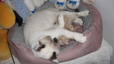 Lilly kuschelt mit ihrem Teddy.jpg