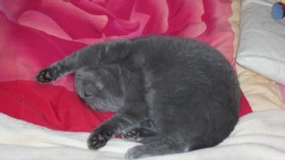 Arme hoch Amerika.jpg