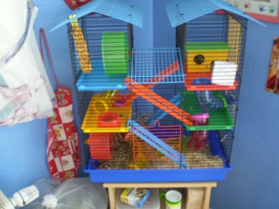 Tja und dann Fiffi der sich hier aber verkrochen hat und Fiffis Heim das ja auch nicht fehlen darf: