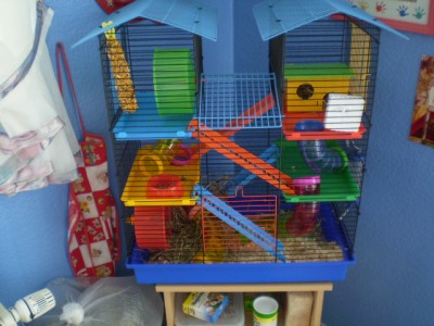 Ups, nochmals Fiffis Heim, aber egal - oder?????