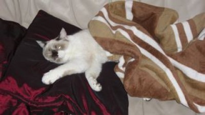 3. so sieht perfektes Couching aus.jpg