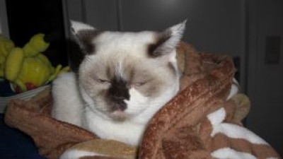 2. bbbrrrr, es wird kalt.jpg