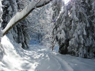 DSCN0972 für Web.JPG