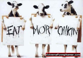 Eat more Chicken.jpg