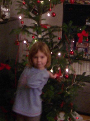 100_1171.JPG