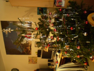 Christbaum 2007
