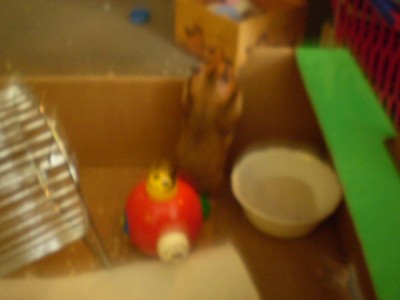 24. Dezember 031.jpg