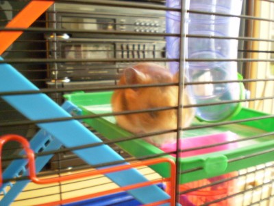 24. Dezember 098.jpg