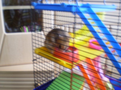 24. Dezember 116.jpg