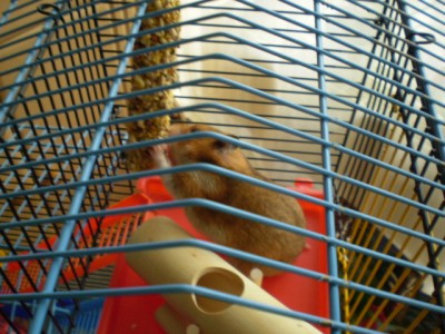 24. Dezember 127.jpg