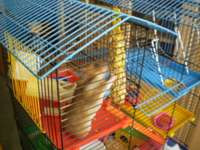 24. Dezember 135.jpg