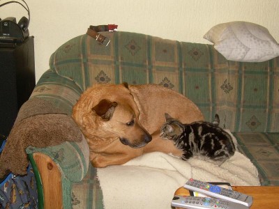 ..hey...wer bist du denn?????