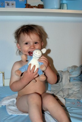 Elijah und sein Paco