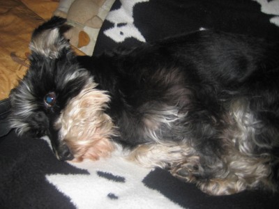 17. Geburtstag Crissie 006.jpg