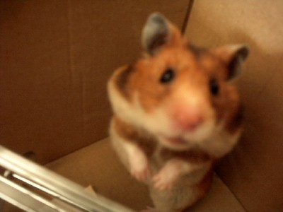 Ich peil mal eben die Lage.....