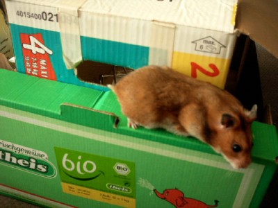 ist kein Loch der Welt zu klein.......