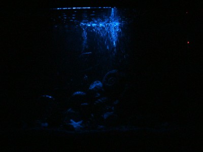 002.JPG