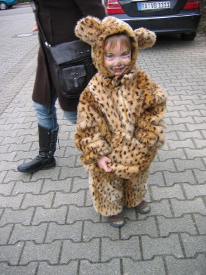 Kleiner Raubtiger
