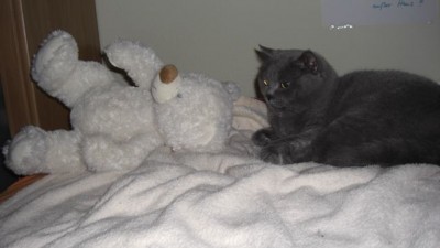 Geburstagsleckerlies gabs schon.jpg