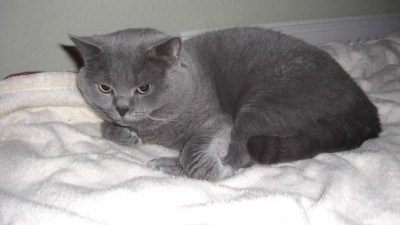 Eliot hat heute 8. Geburtstag.jpg