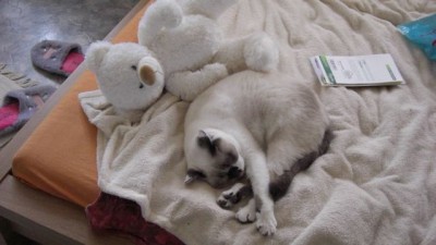 Lilly macht Flocke Konkurenz.jpg