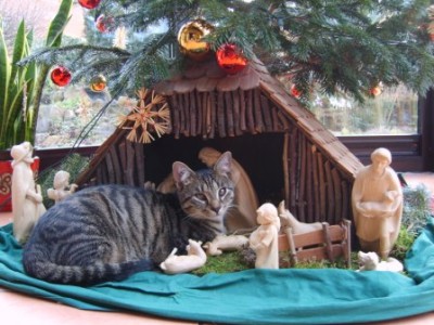 Nov Dez 2007 040klein.jpg