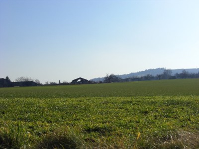 Feld - so ein Wetter hatten wir heut ;-)
